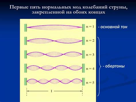 Томный звук и его роль в музыке