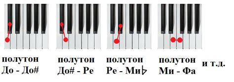 Тон полутон в сольфеджио: суть и применение