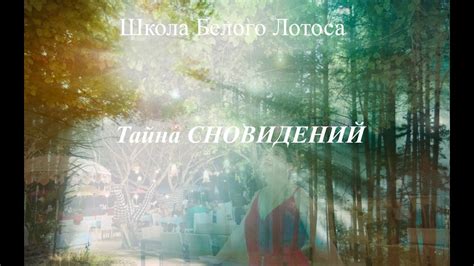 Трактовка сновидений: погружаясь в источник счастья