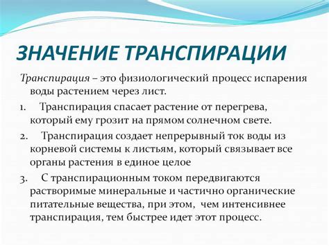 Транспирация: определение и механизм действия