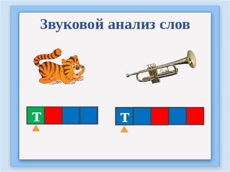 Трансформация реальности: краткий анализ промеров с буквой "Т"