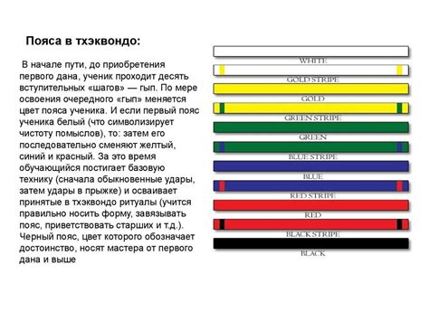 Требования для получения синего пояса