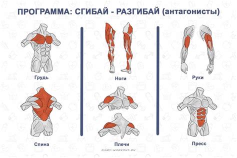 Тренировки, на которых запястье нуждается в поддержке