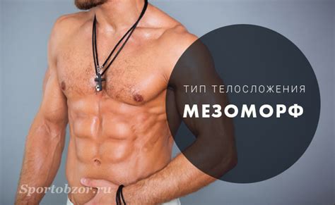 Тренировки для мезоморфов