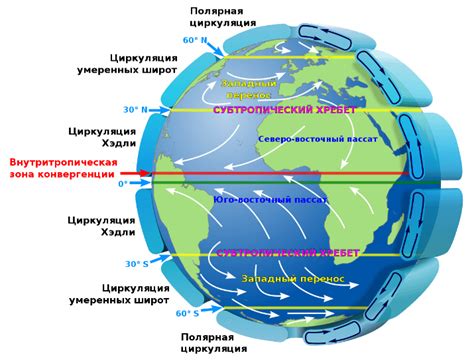 Тропики - что это?