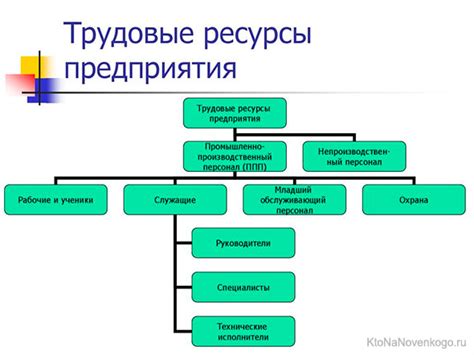 Трудовые ресурсы и условия работы на предприятии