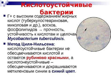 Туберкулез как причина коричневой мокроты