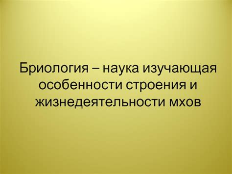 Тупиковая ветвь развития: особенности и последствия