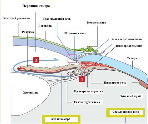 Увеличение нагрузки на глаза