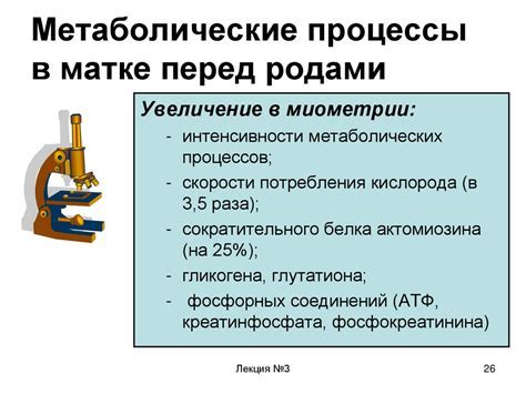 Увеличение уровня окситоцина в организме