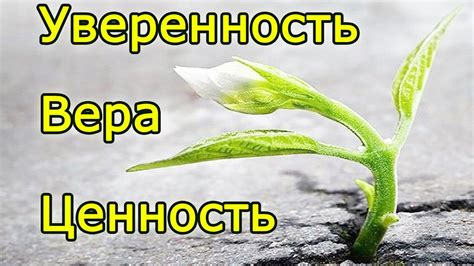 Уверенность и собственная ценность