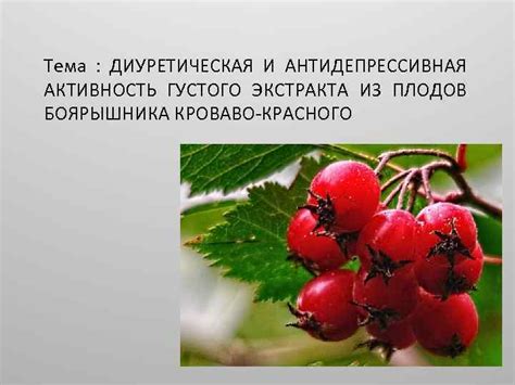 Увлекательные истории о переживаниях воровства плодов из красного дерева и их неожиданных последствиях в реальной жизни