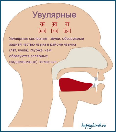 Увулярные звуки в других языках