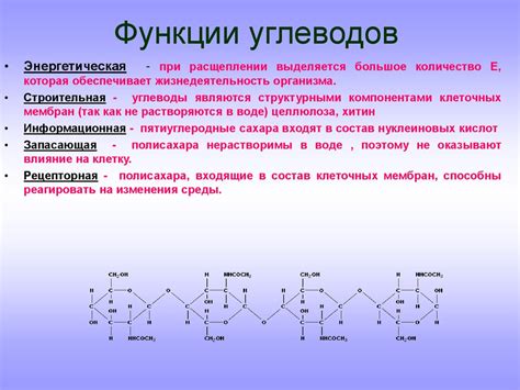 Углеводы: определение и состав