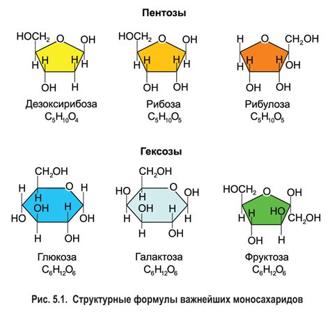 Углеводы: энергия и структура