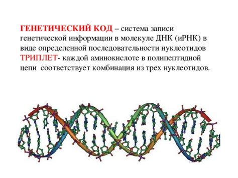 Узловые мотивы и последовательности в генетической информации