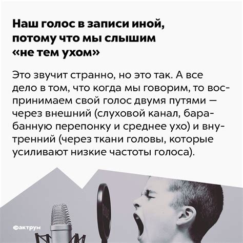 Указания и послания: загадочные сообщения, что приносит голос, говорящий из иной реальности