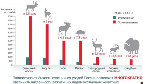 Уменьшение животного мира