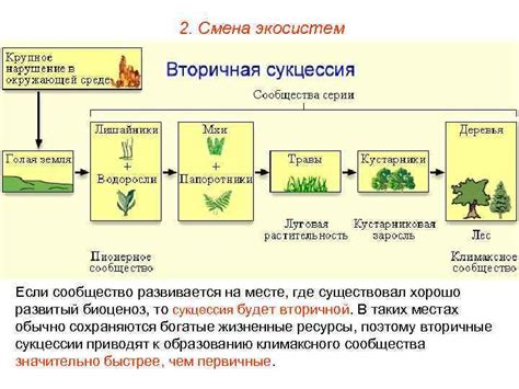 Уменьшение продуктивности экосистем