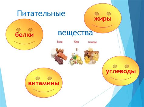 Универсальная пища: понятие и значение