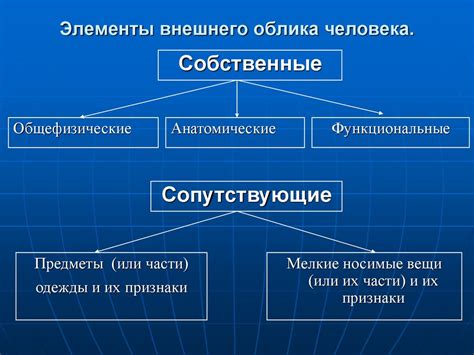 Уникальная внешность - особенности внешнего облика каждого человека