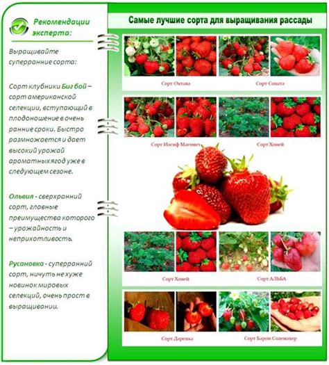 Уникальные свойства самостерилных сортов