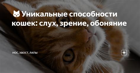 Уникальные способности несовершенного животного