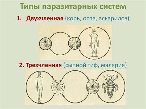 Управление и контроль паразитарных систем