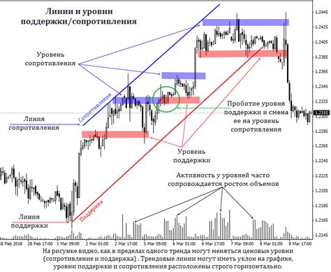 Уровни поддержки и сопротивления: важные зоны