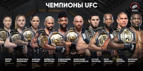 Успехи и достижения промоушена UFC