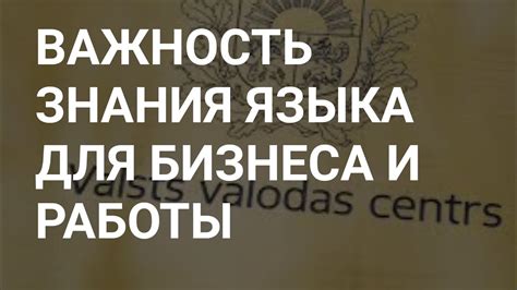 Успех и образование: почему знания имеют такую важность