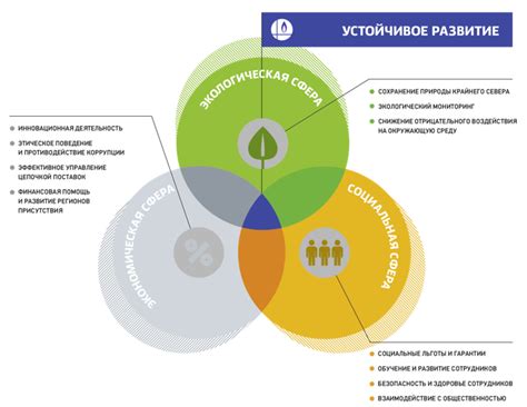 Устойчивое развитие общества: понятие и значения