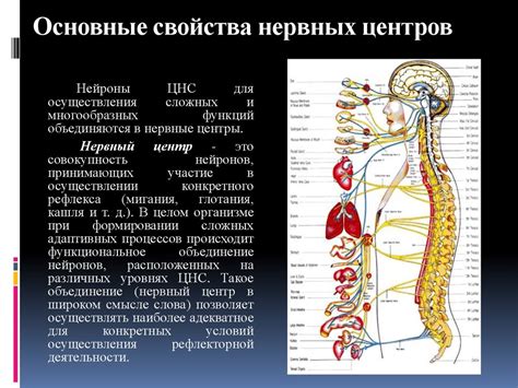 Утешительные сновидения: их роль в самосовершенствовании и выздоровлении