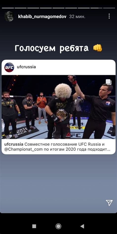 Участники и правила в проекте UFC