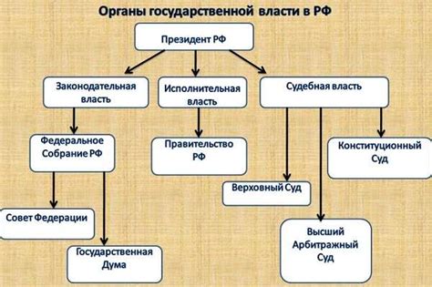 Участники общественных органов