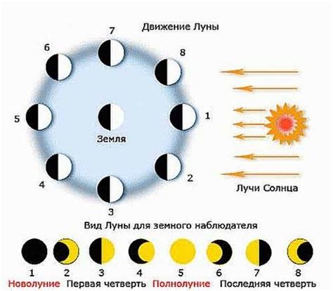 Фаза луны и сезонные работы в саду и огороде