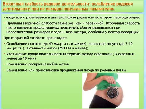 Фазы родовой деятельности