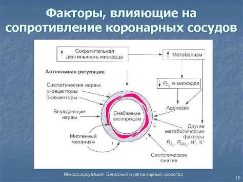 Факторы, влияющие на перинодулярный кровоток