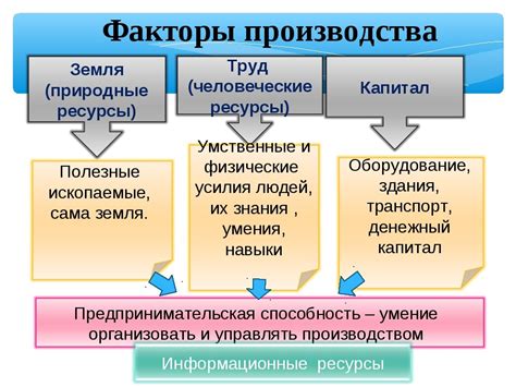 Факторы, влияющие на разнообразие услуг