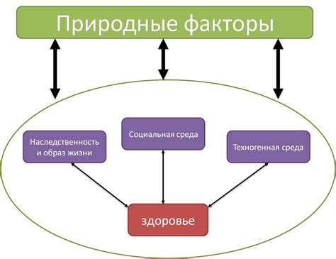 Факторы, влияющие на сердцебиение