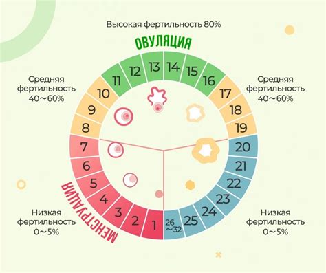 Факторы, влияющие на фертильный период