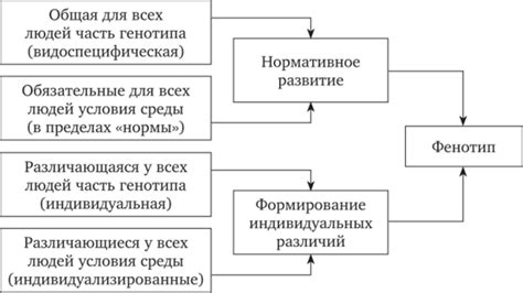 Факторы, влияющие на формирование фенотипа