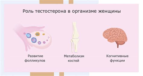 Факторы, способствующие повышению уровня тестостерона у женщин