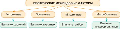 Факторы атерогенности: влияние на организм человека