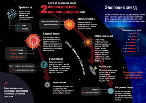 Фанаты звезд: их влияние и польза