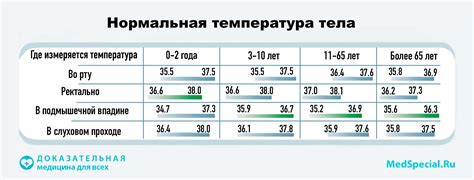 Фебрильная температура: основные характеристики