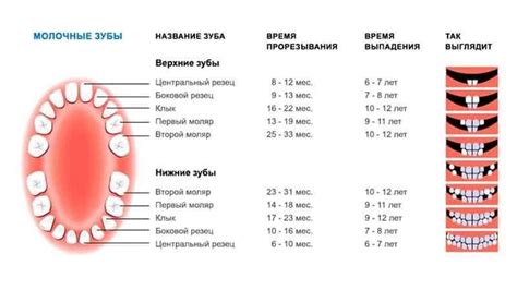 Феномен выпадения зубов с примесью крови в сновидении: интерпретация и значение