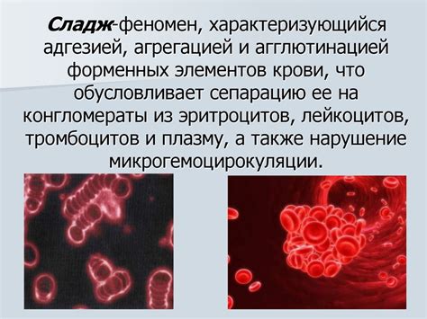 Феномен первого цикла: значение и символика