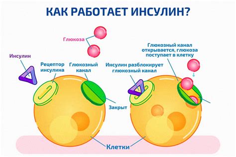 Феномен сновидений о разломанных частях тела после приема пищи 