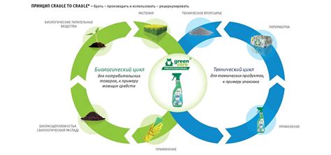 Фермерская продукция и ее экологическая чистота